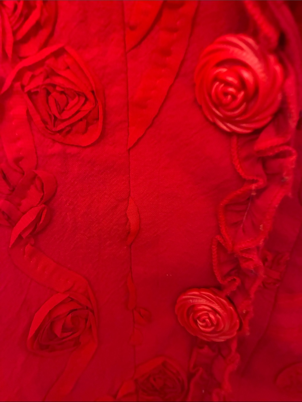 Vintage Christopher & Banks Red Ruffle-Trim Floral Appliqué Embroidered Blazer - Picture 3 of 9